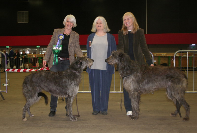 CC Winners Scottish Breeds 2011